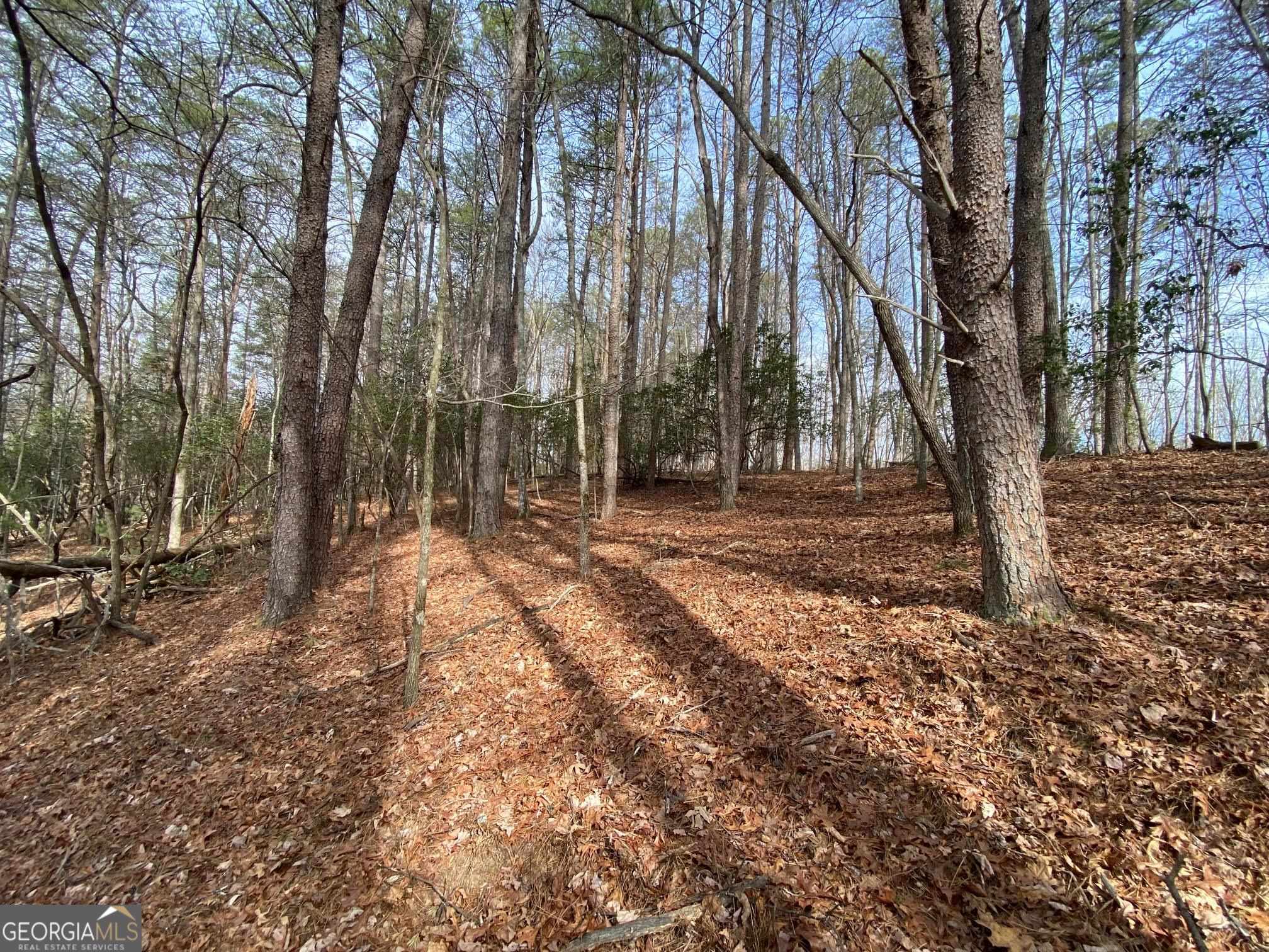 0 Sky Lake Road Sautee Nacoochee, GA 30571 - Photo 23 of 26