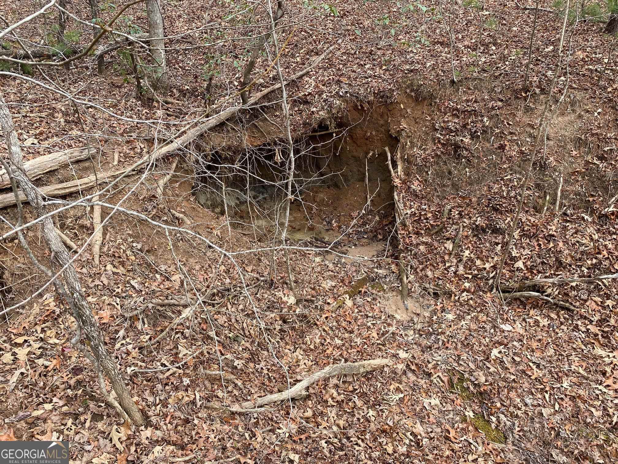 0 Sky Lake Road Sautee Nacoochee, GA 30571 - Photo 25 of 26