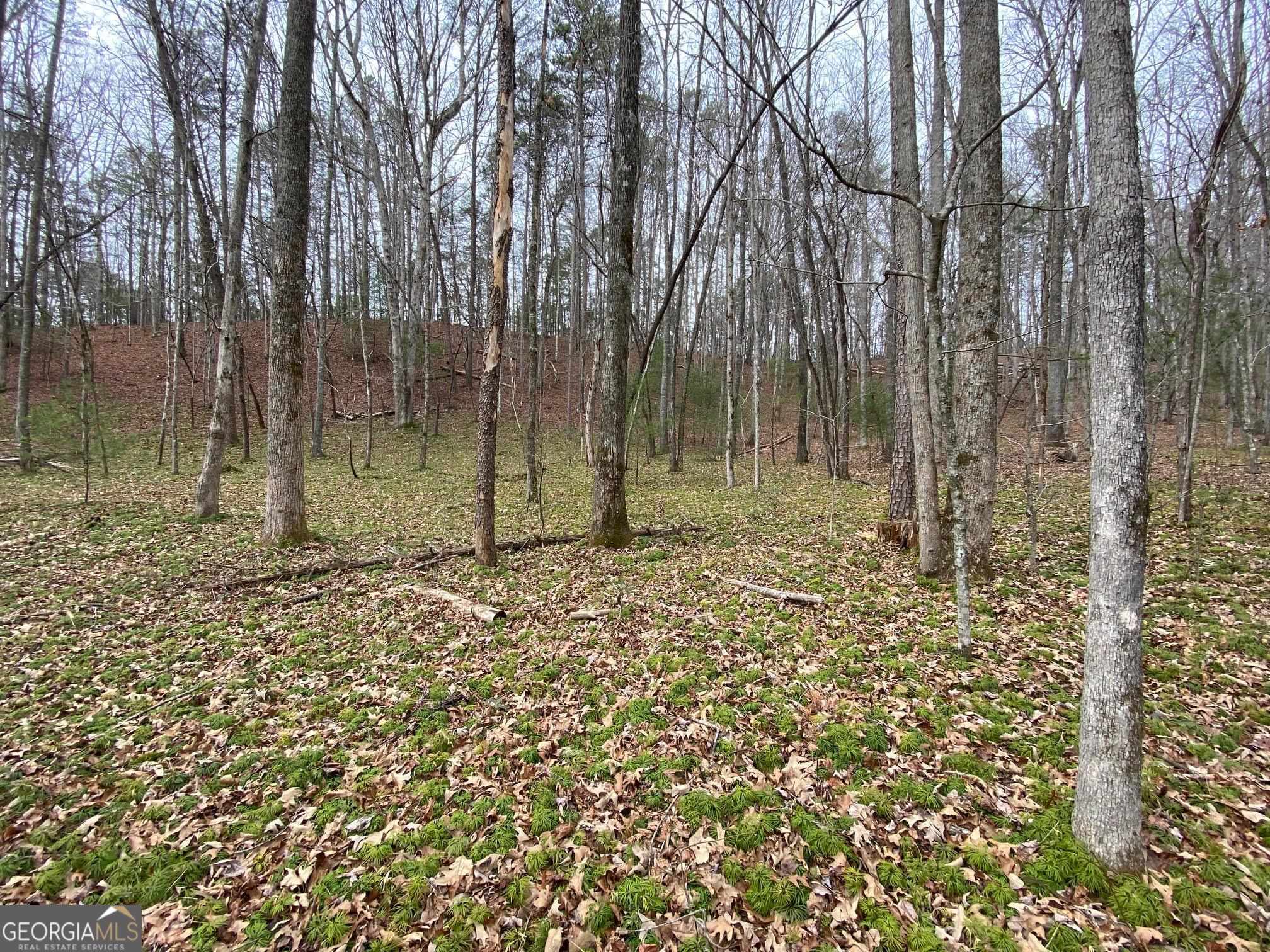 0 Sky Lake Road Sautee Nacoochee, GA 30571 - Photo 3 of 26