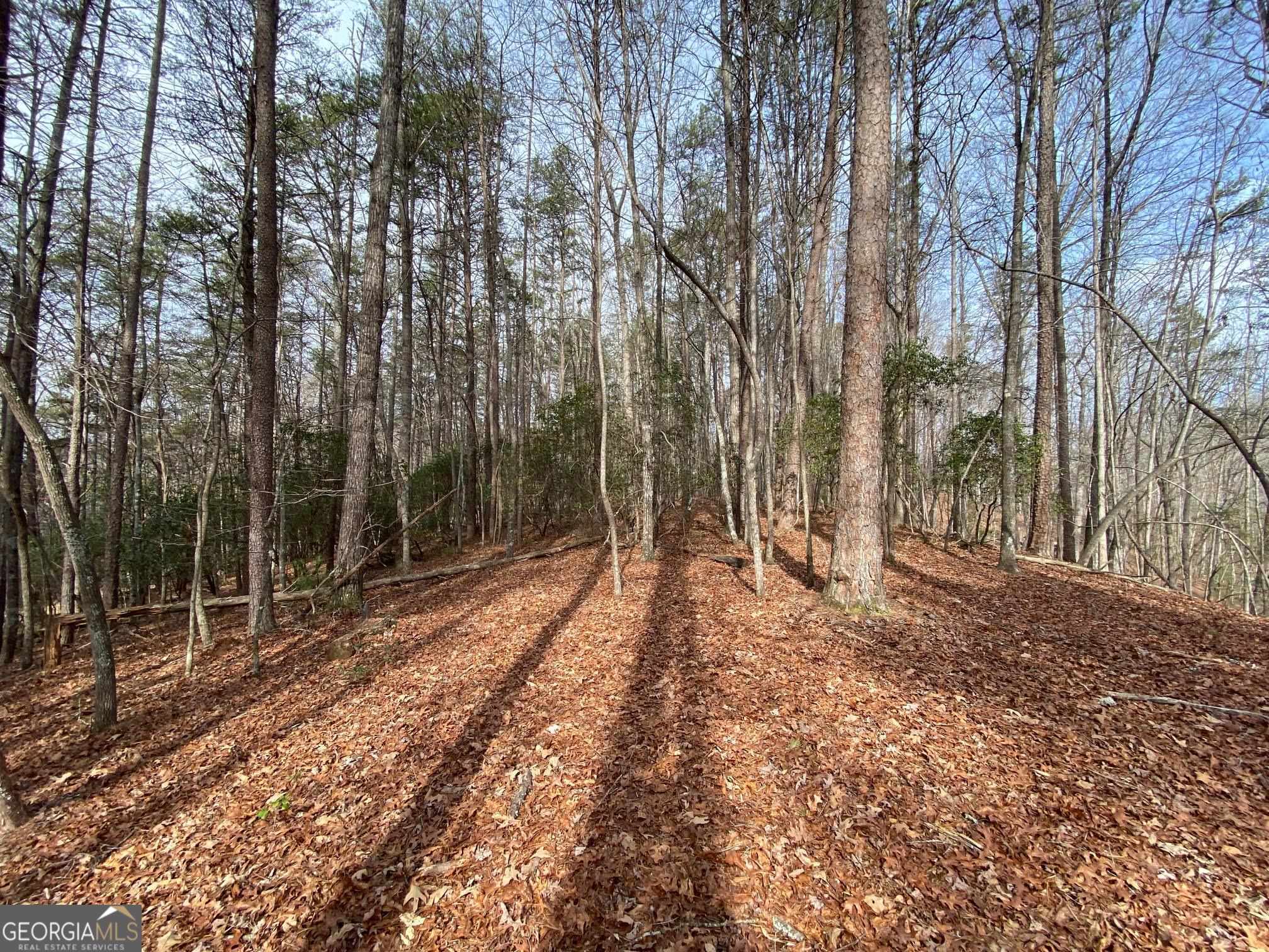 0 Sky Lake Road Sautee Nacoochee, GA 30571 - Photo 4 of 26