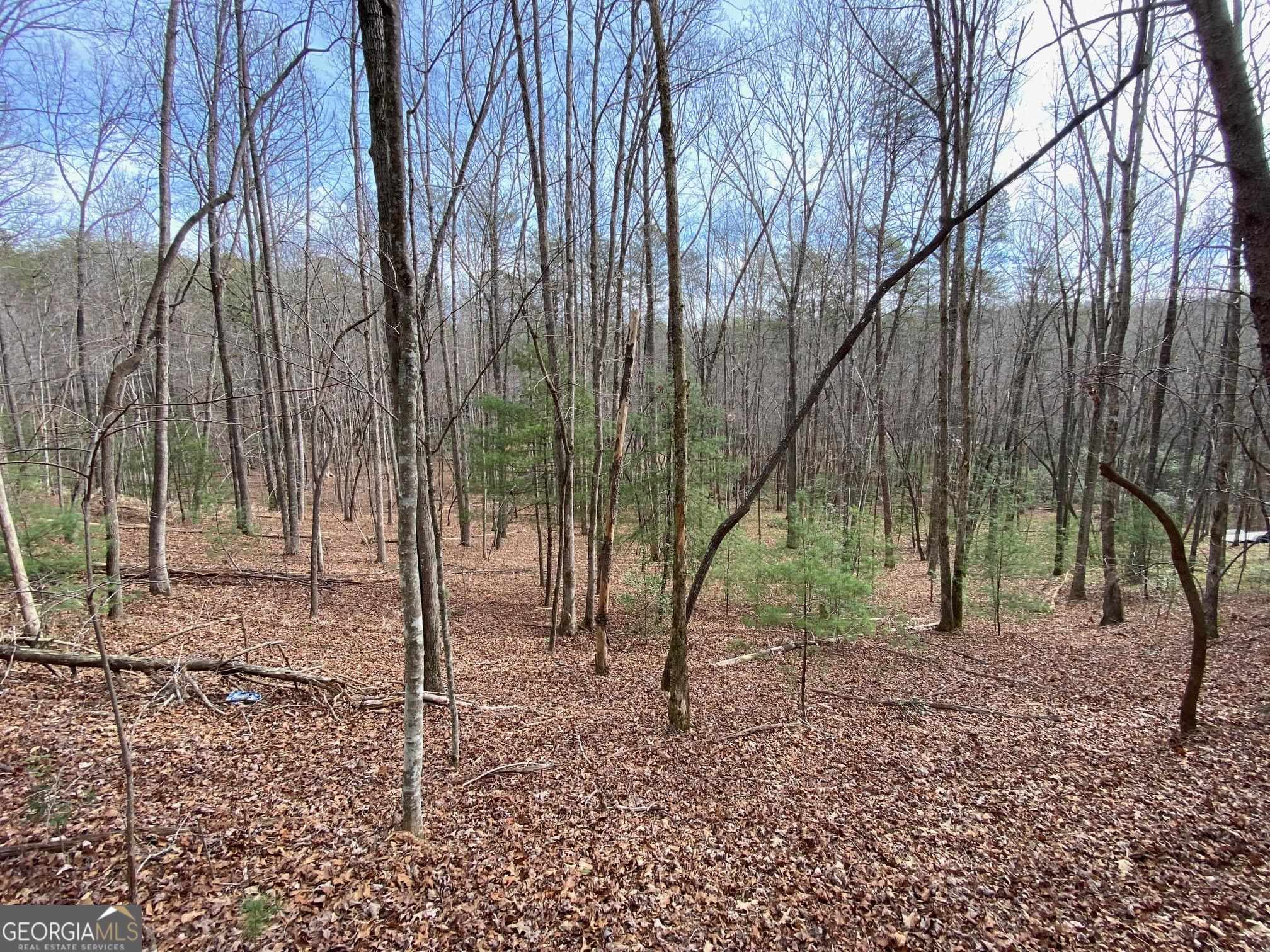 0 Sky Lake Road Sautee Nacoochee, GA 30571 - Photo 5 of 26