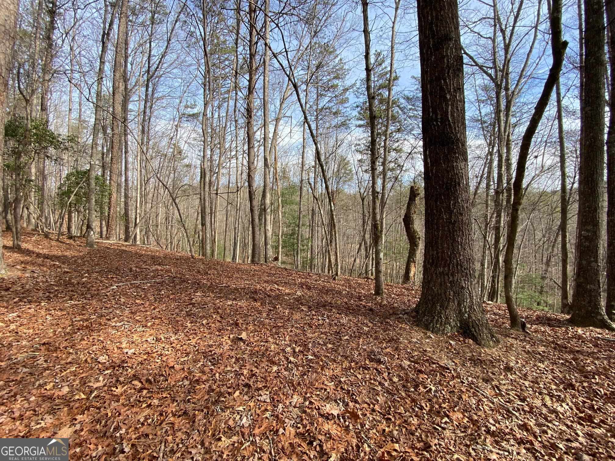 0 Sky Lake Road Sautee Nacoochee, GA 30571 - Photo 7 of 26