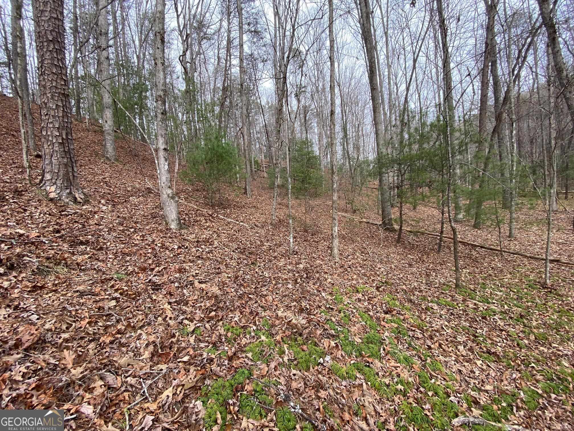 0 Sky Lake Road Sautee Nacoochee, GA 30571 - Photo 8 of 26