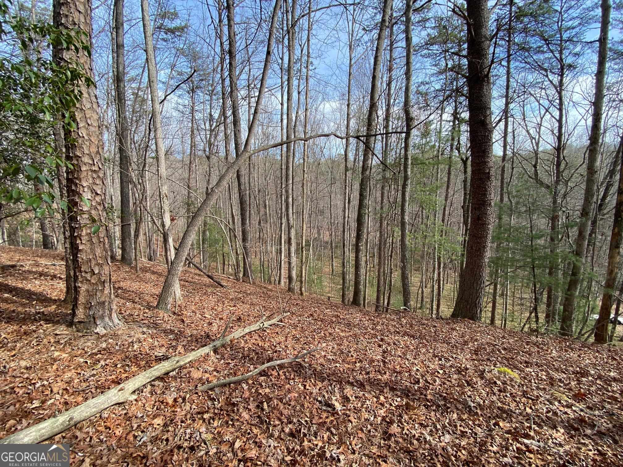 0 Sky Lake Road Sautee Nacoochee, GA 30571 - Photo 9 of 26