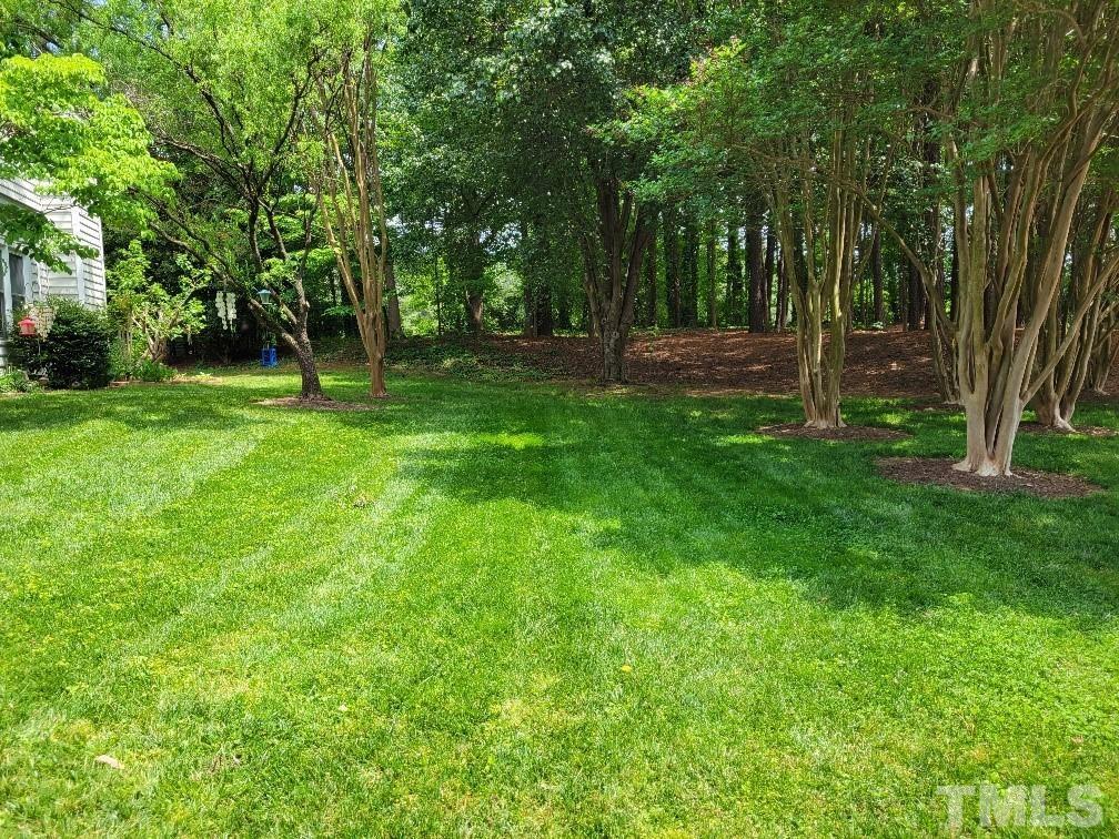 4362 Bona Court Raleigh, NC 27604 - Photo 10 of 17 a backyard of a house with lots of green space