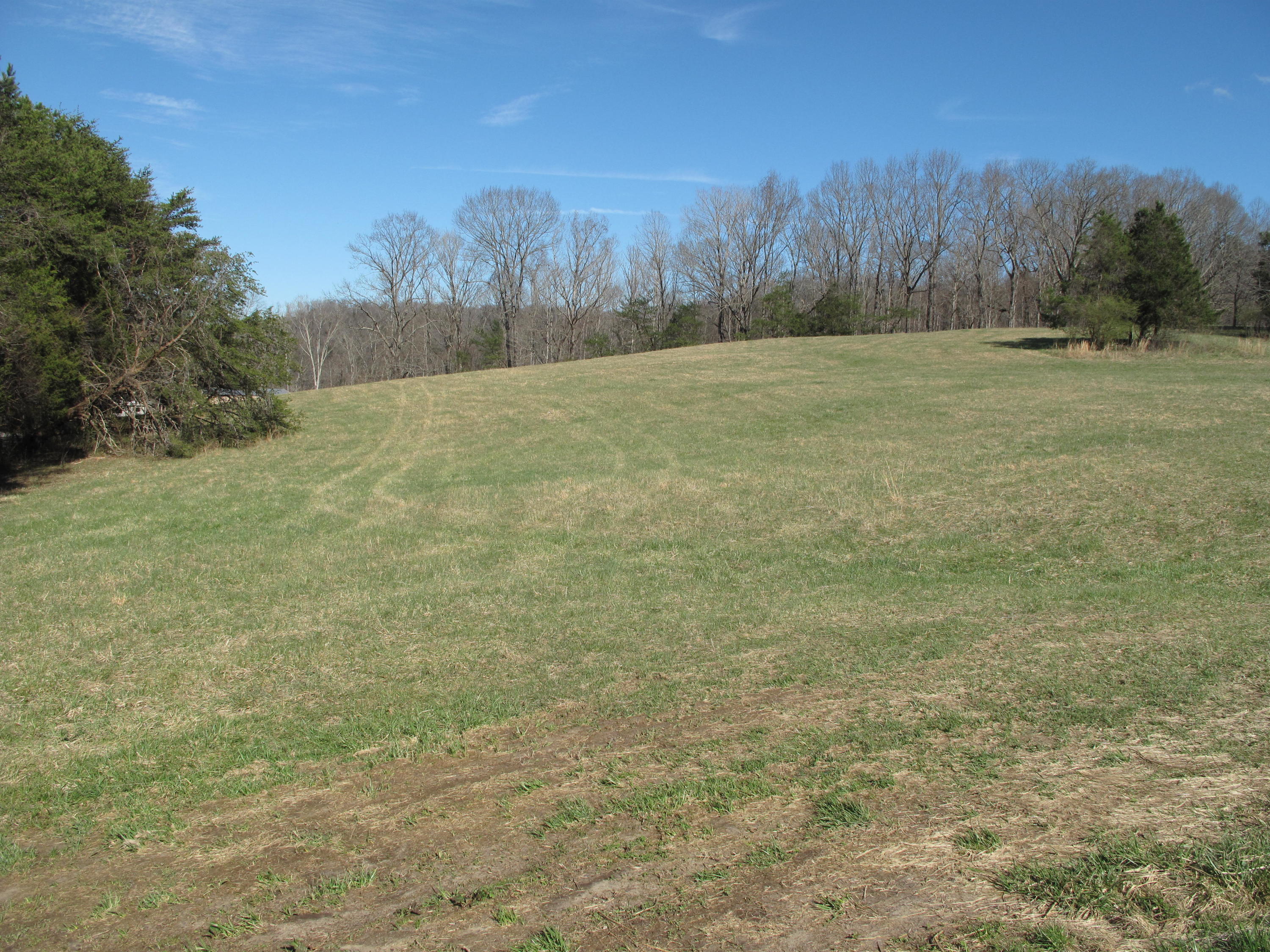 Ridge Road Caryville, TN 37714 - Photo 1 of 6 IMG_2489