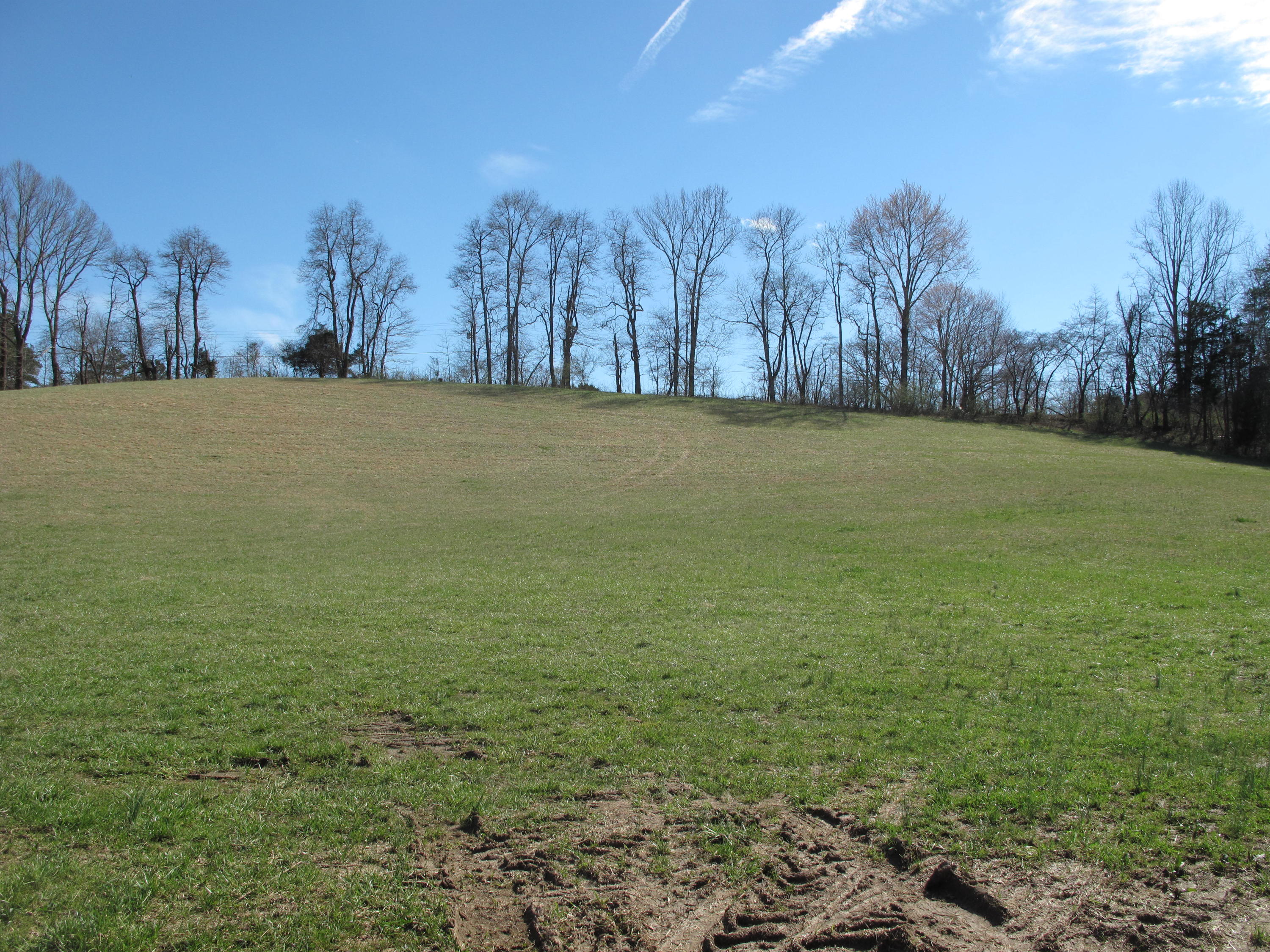 Ridge Road Caryville, TN 37714 - Photo 4 of 6 IMG_2492