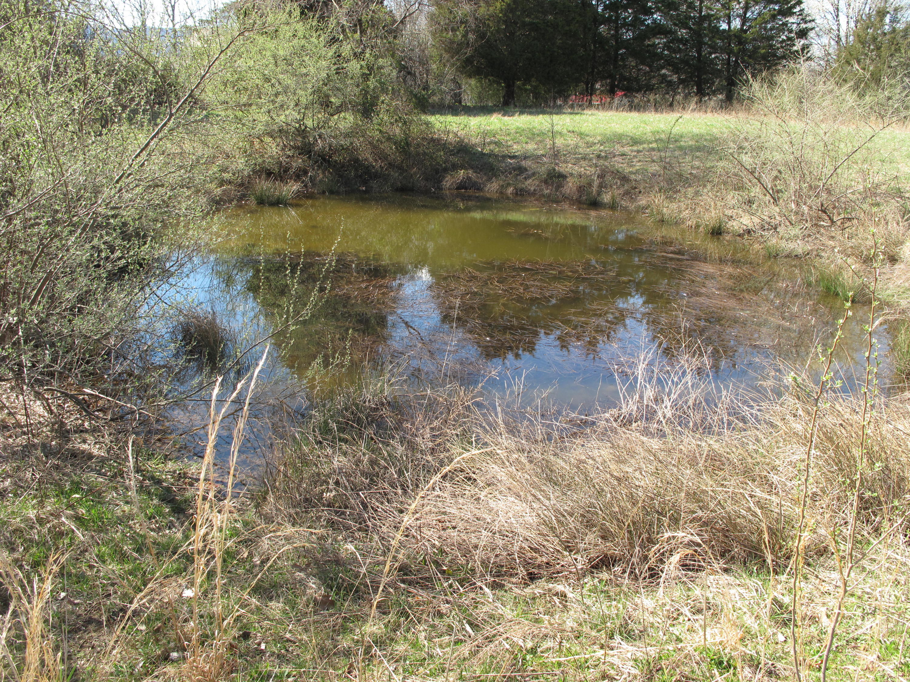 Ridge Road Caryville, TN 37714 - Photo 5 of 6 IMG_2493