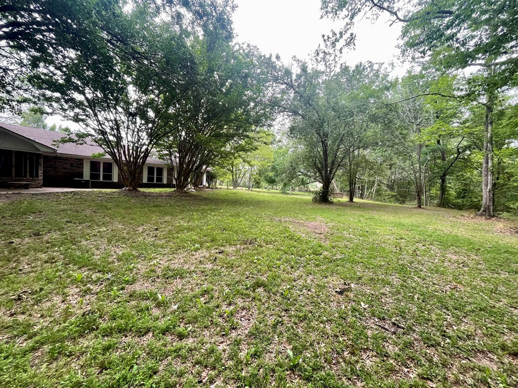 305 Garrett Road Silver Creek, MS 39663 - Photo 30 of 30 Photo 30