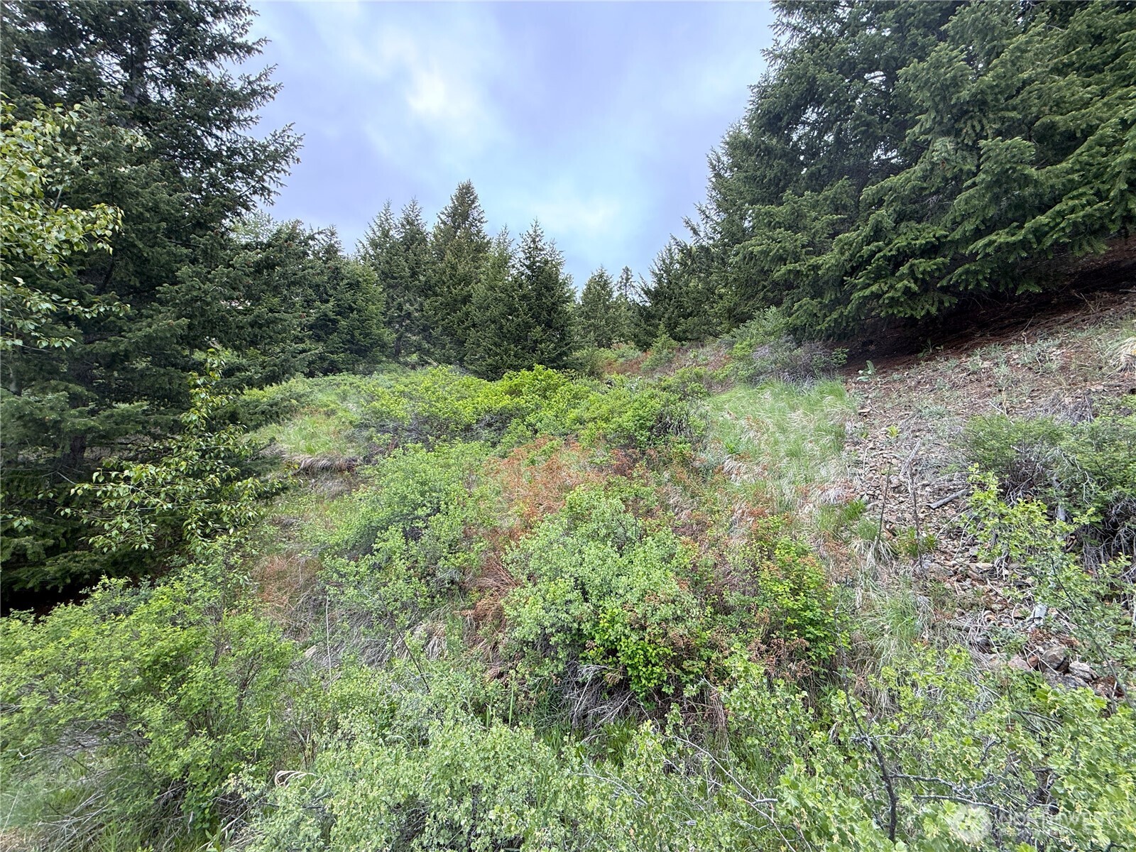 0 Pontiac Ridge Road Oroville, WA 98844 - Photo 12 of 21
