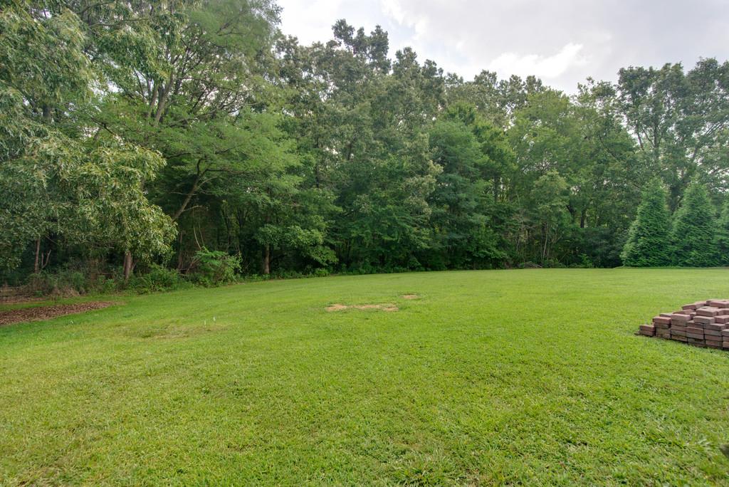 7108 Elrod Road Fairview, TN 37062 - Photo 28 of 30 Gallery Image 28