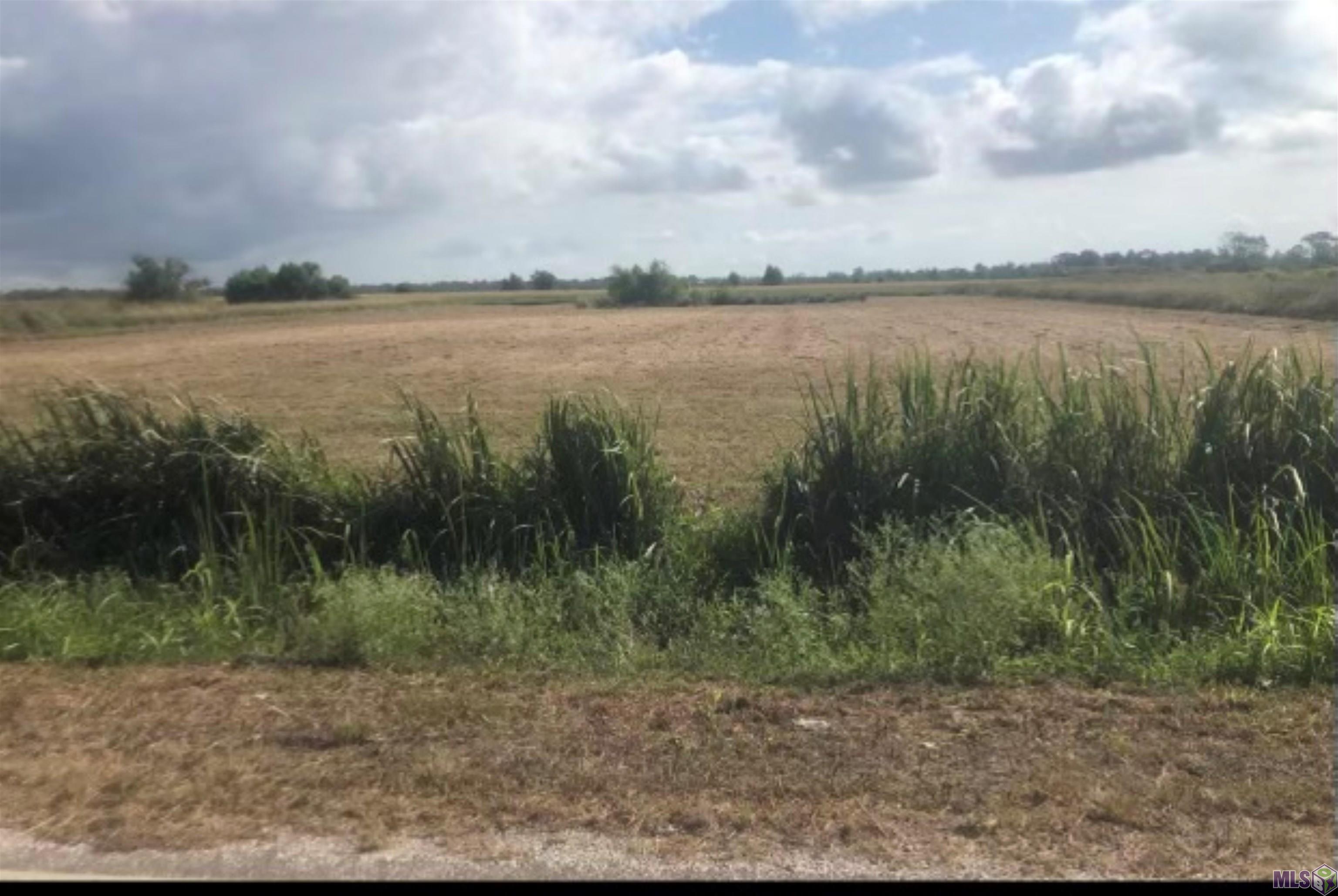 Lot 3 Highway 652 Raceland La Raceland, LA 70394 - Photo 1 of 2 Gallery Image 1