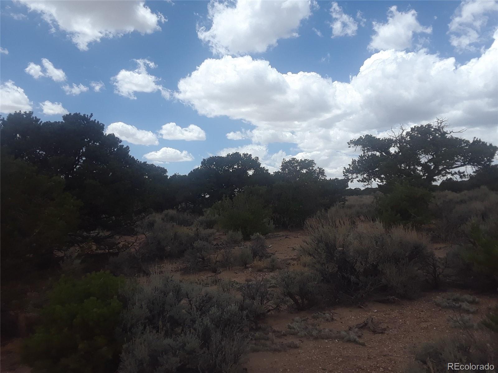 0 Ice House Road Fort Garland, CO 81133 - Photo 7 of 10 Gallery Image 7