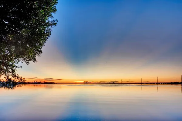 a view of lake with a tree
