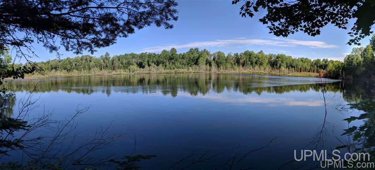 1356 Bates-Amasa Road Iron River, MI 49935 - Photo 7 of 11