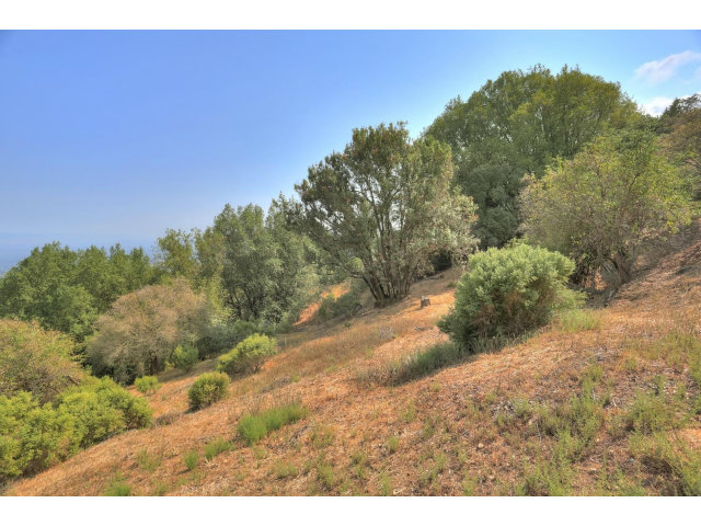 15988A Flintlock Road Cupertino, CA 95014 - Photo 9 of 25 Gallery Image 9