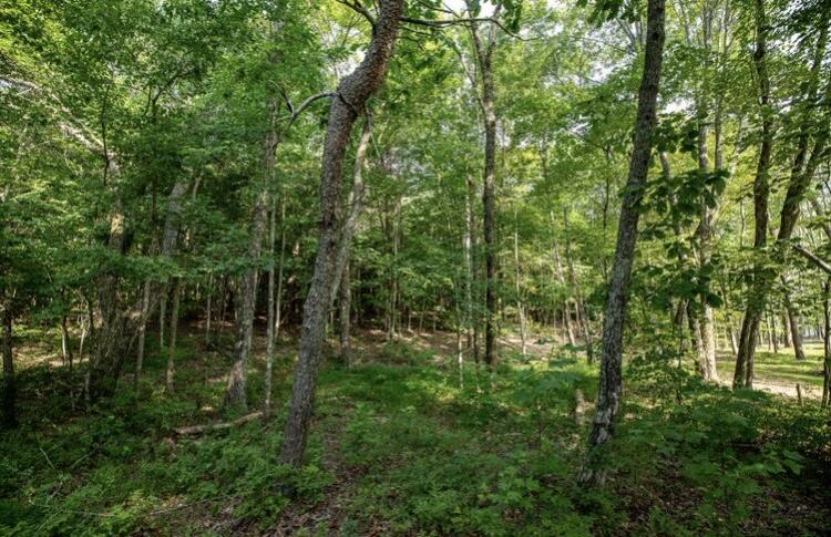 595 Compass Drive, Unit RB104 Jasper, TN 37347 - Photo 12 of 47 56FA9C6F-08D2-4F39-97E2-1307FB265542