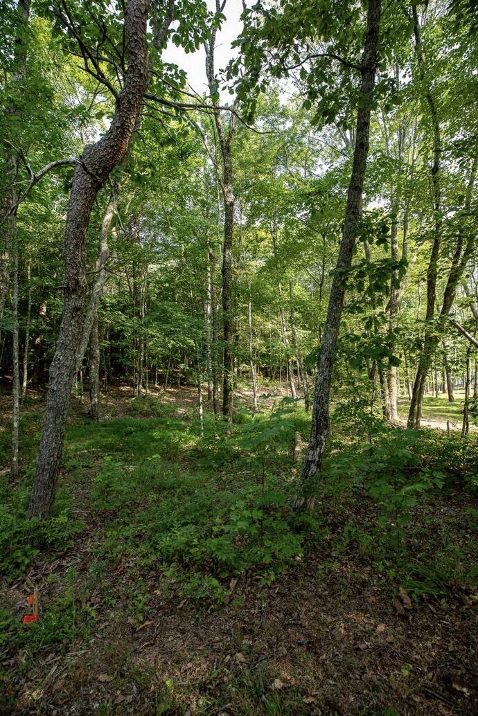 595 Compass Drive, Unit RB104 Jasper, TN 37347 - Photo 13 of 47 57F8B5AD-AD9F-4423-A83E-F1B1F09DE499