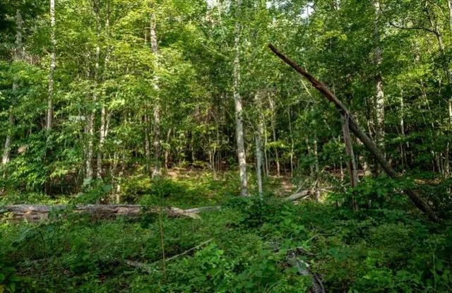 $120,000 | 595 Compass Drive, Unit RB104, Jasper, TN 37347