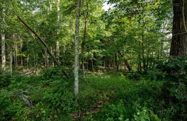 $120,000 | 595 Compass Drive, Unit RB104, Jasper, TN 37347