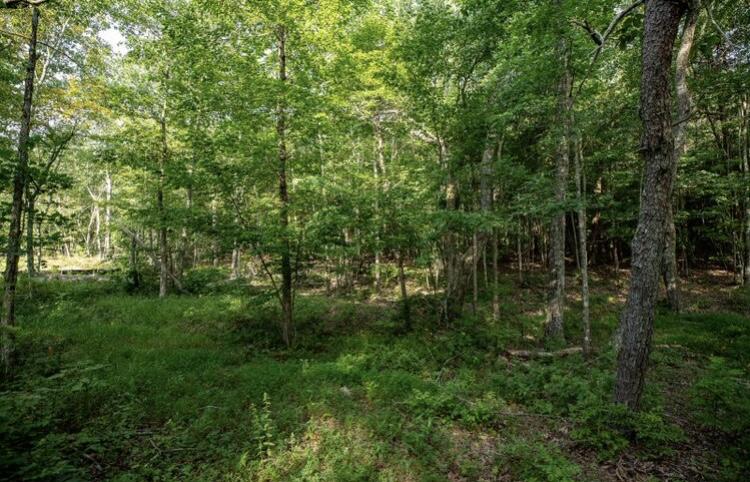 595 Compass Drive, Unit RB104 Jasper, TN 37347 - Photo 18 of 47 9DA5CDD1-A42A-48D2-8DD6-EA8AF495C677