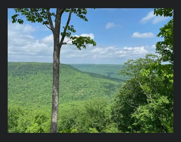 $120,000 | 595 Compass Drive, Unit RB104, Jasper, TN 37347