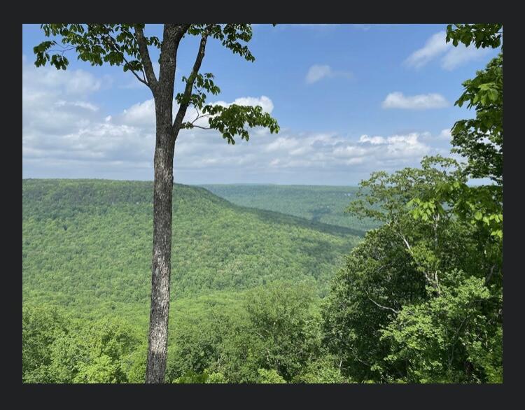 595 Compass Drive, Unit RB104 Jasper, TN 37347 - Photo 23 of 47 4F2DF7E1-C815-447D-B12B-3168639ED37B