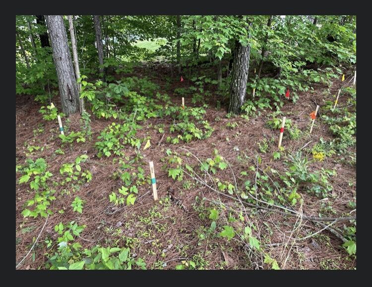 595 Compass Drive, Unit RB104 Jasper, TN 37347 - Photo 25 of 47 8F2E5671-F297-4856-A994-ECE0B51B9E81