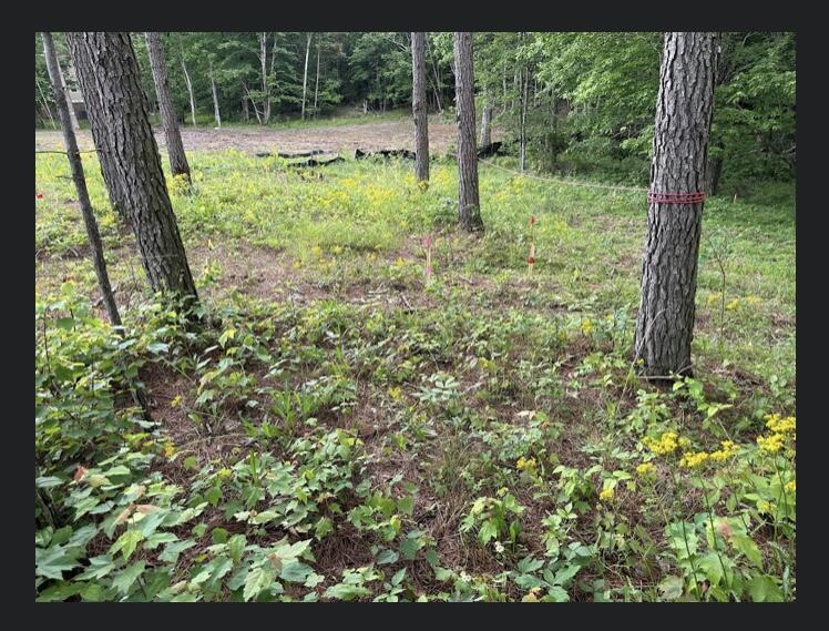 595 Compass Drive, Unit RB104 Jasper, TN 37347 - Photo 26 of 47 9FF167D0-6C03-4723-91BD-38160C4E89AA