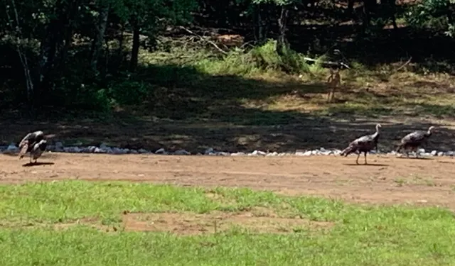 $120,000 | 595 Compass Drive, Unit RB104, Jasper, TN 37347