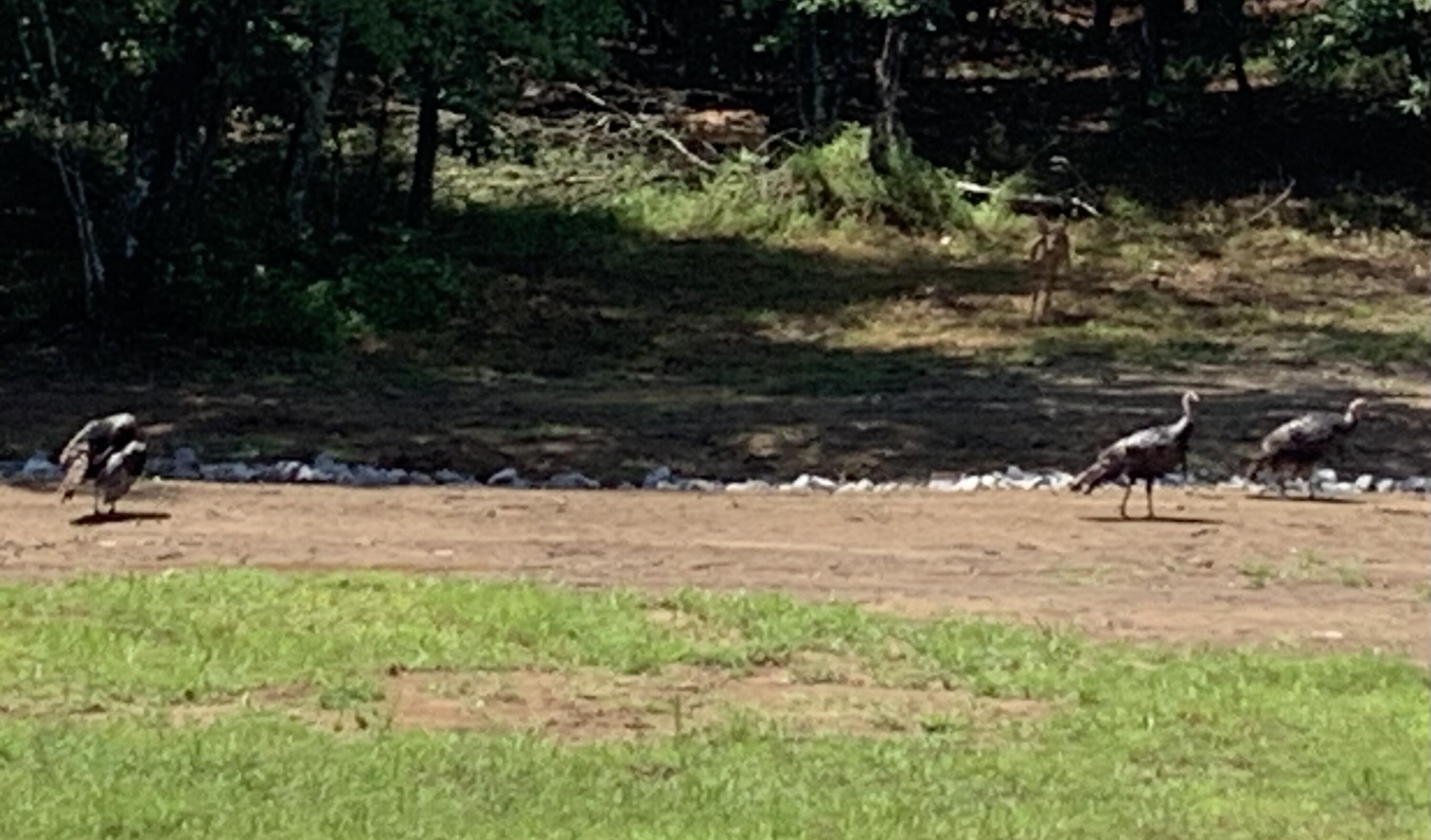 595 Compass Drive, Unit RB104 Jasper, TN 37347 - Photo 27 of 47 184C7D11-F0A9-4747-B13A-9D75F7BD5F0E