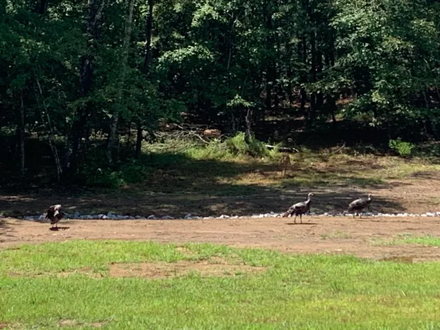 $120,000 | 595 Compass Drive, Unit RB104, Jasper, TN 37347