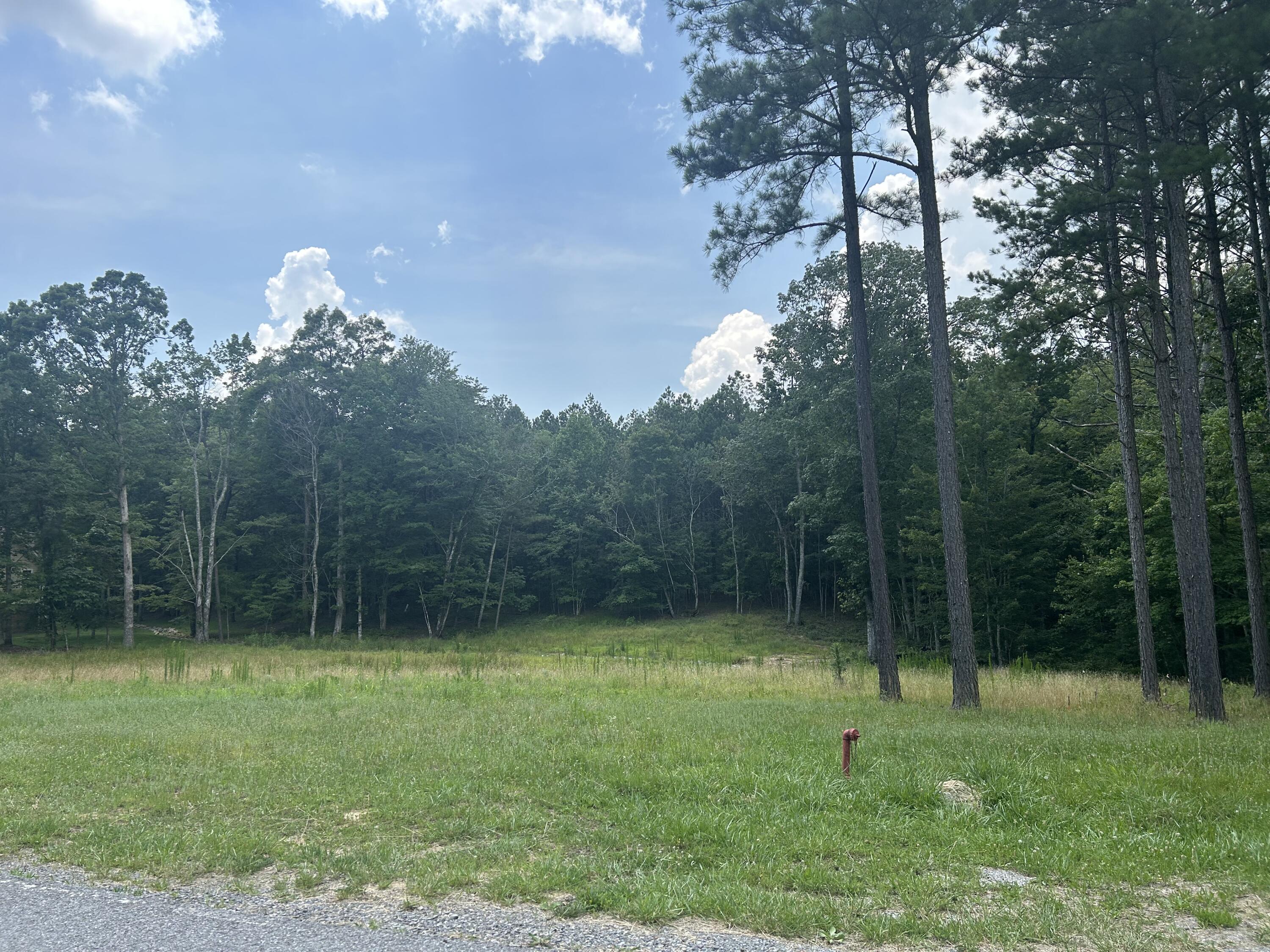 595 Compass Drive, Unit RB104 Jasper, TN 37347 - Photo 3 of 47 IMG_0250