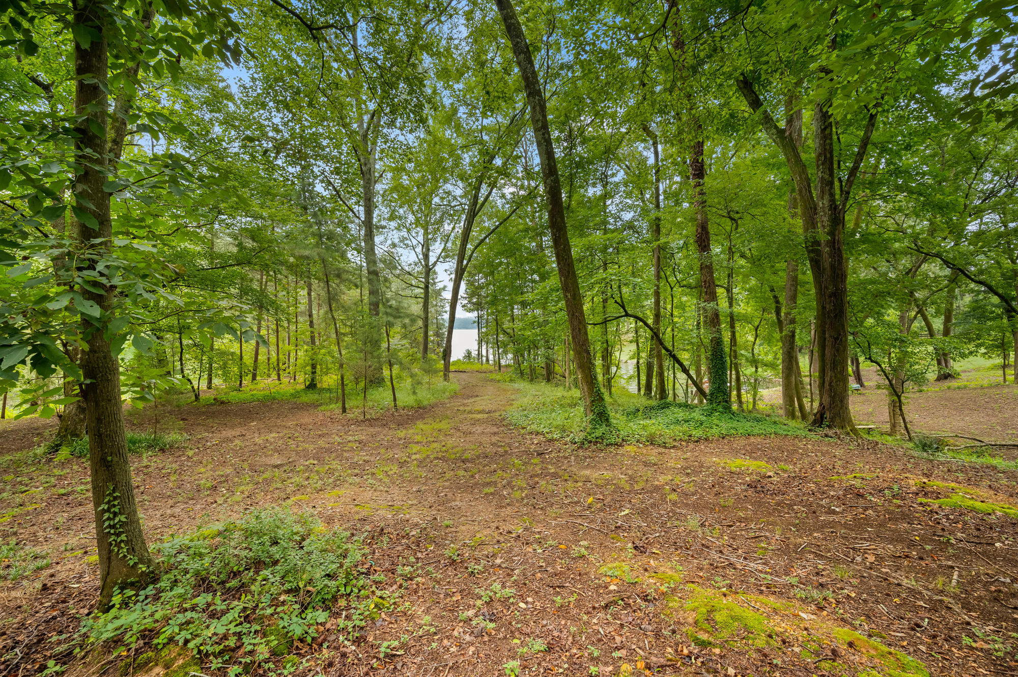 4043 Hamill Road Hixson, TN 37343 - Photo 45 of 59 Yard
