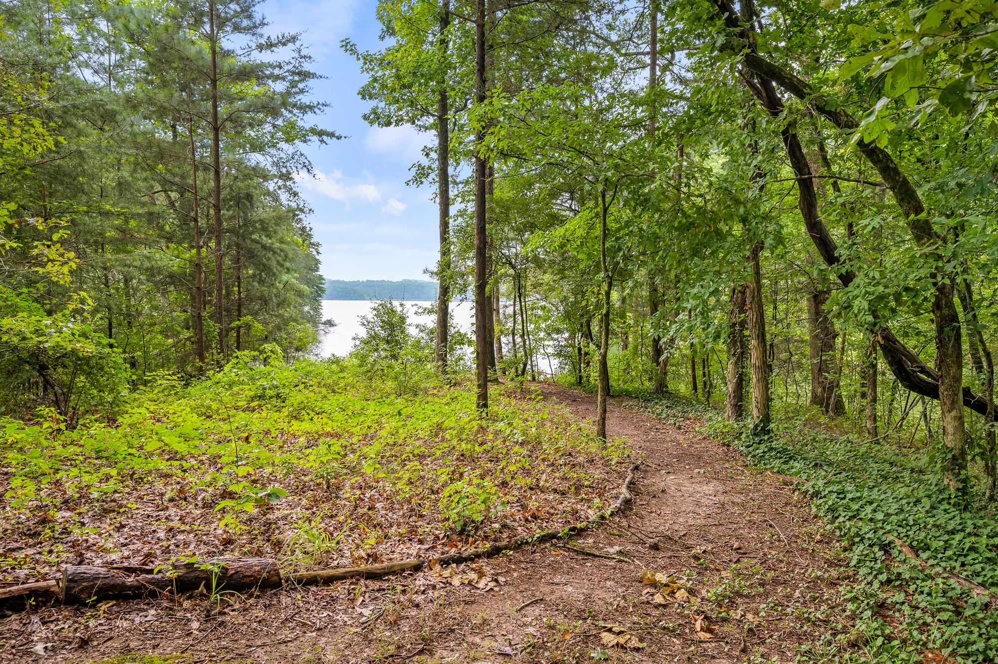4043 Hamill Road Hixson, TN 37343 - Photo 46 of 59 Yard
