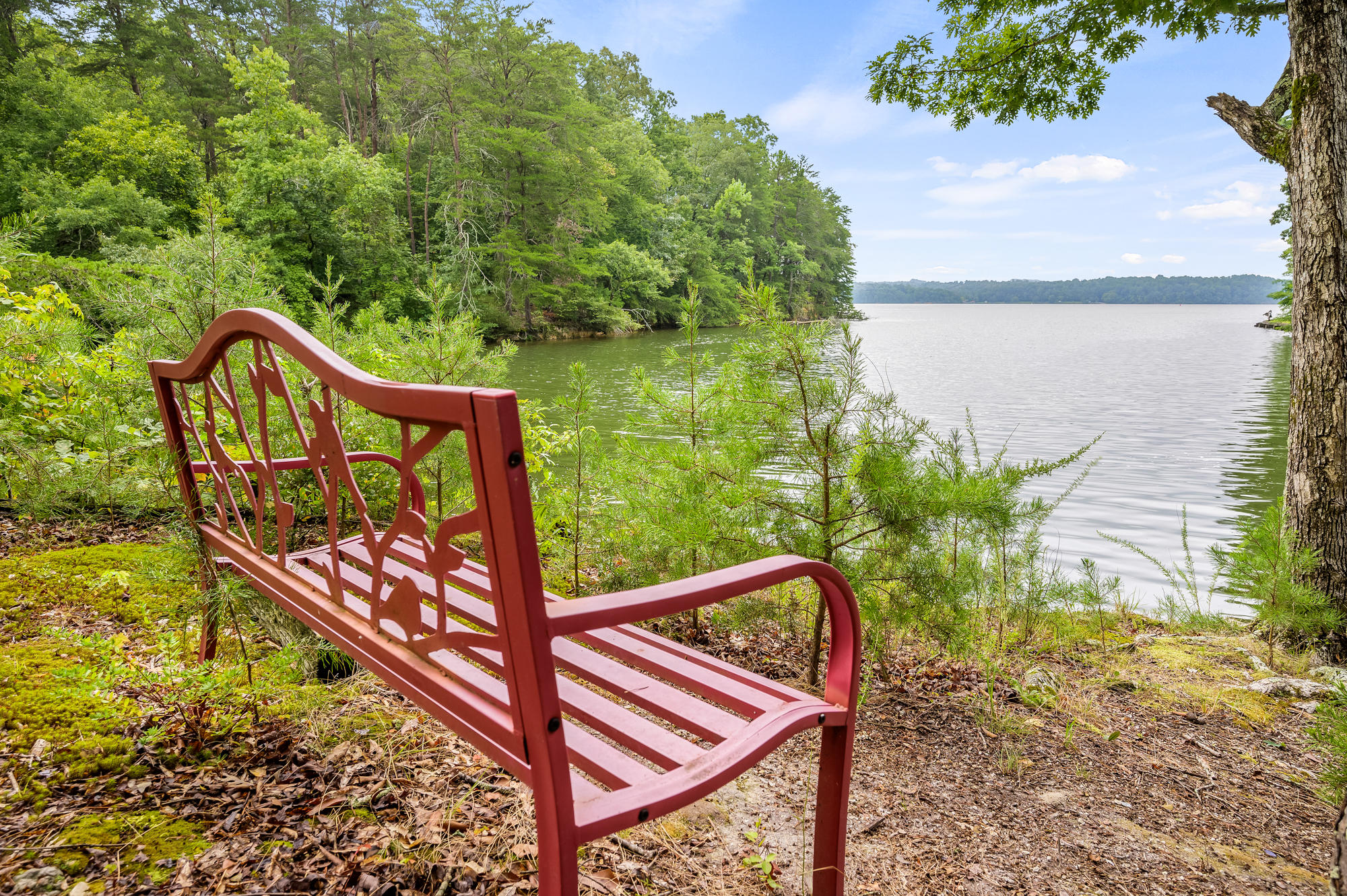 4043 Hamill Road Hixson, TN 37343 - Photo 48 of 59 Water View