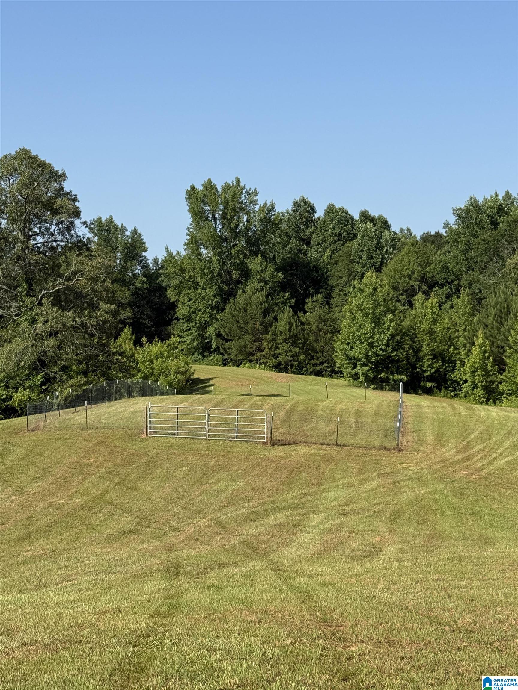 0 County Road 450 Fruithurst, AL 36262 - Photo 6 of 13