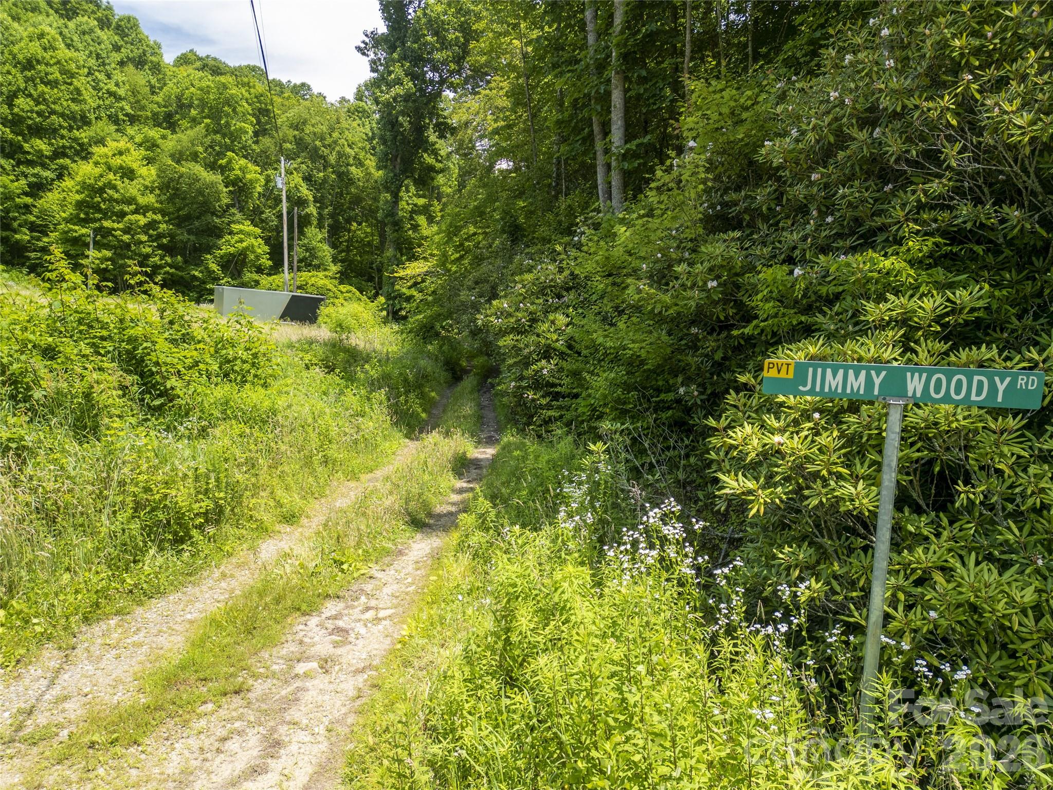 168 Smith Creek Road Mars Hill, NC 28754 - Photo 10 of 46
