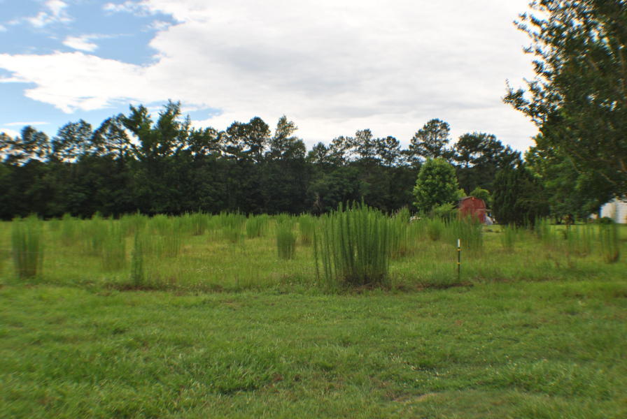 153 St Clair Road Ridgeville, SC 29472 - Photo 20 of 28 5
