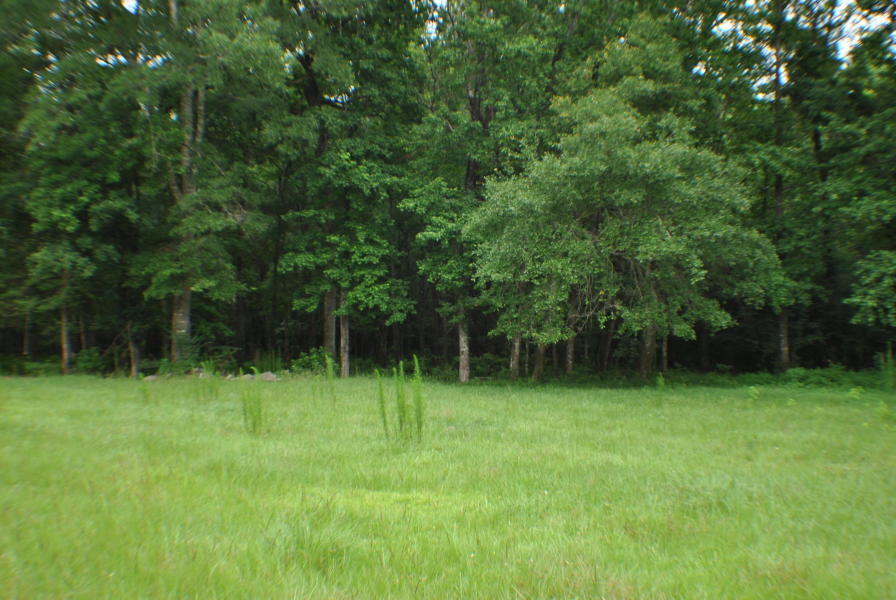 153 St Clair Road Ridgeville, SC 29472 - Photo 23 of 28 7