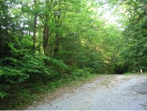 0 Pyron Road, Unit 1 Unicoi, TN 37692 - Photo 6 of 9 Photo 6