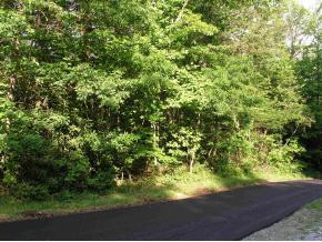 0 Pyron Road, Unit 1 Unicoi, TN 37692 - Photo 8 of 9 Photo 8