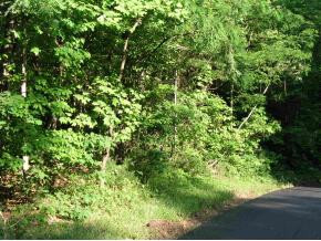 0 Pyron Road, Unit 1 Unicoi, TN 37692 - Photo 9 of 9 Photo 9
