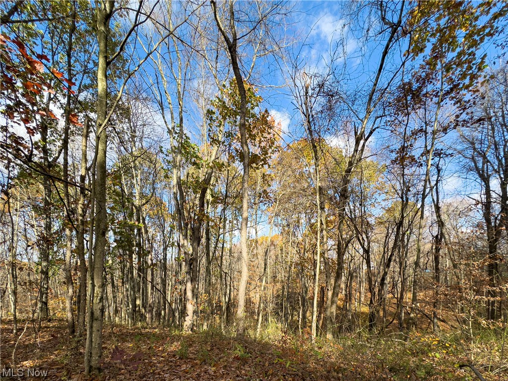 Windy Ridge Road New Concord, OH 43762 - Photo 22 of 34 Gallery Image 22