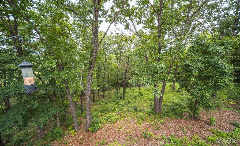 855 Paris Road Waynesville, MO 65583 - Photo 46 of 62