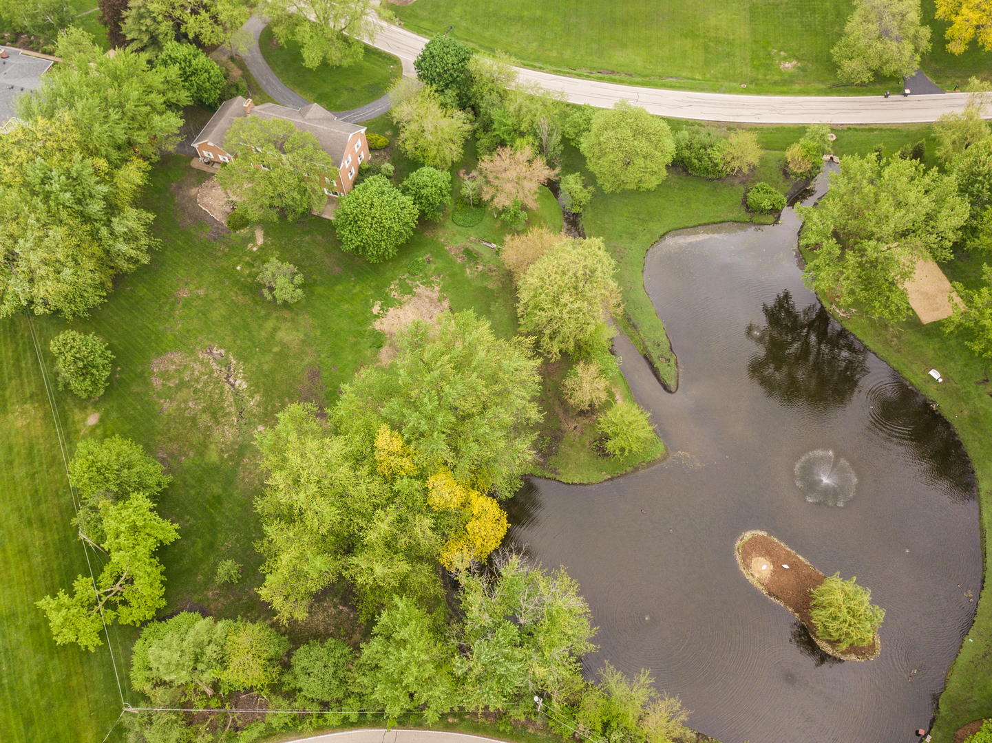 1701 Banbury Road Inverness, IL 60067 - Photo 4 of 33 a view of a lake view with a flower around