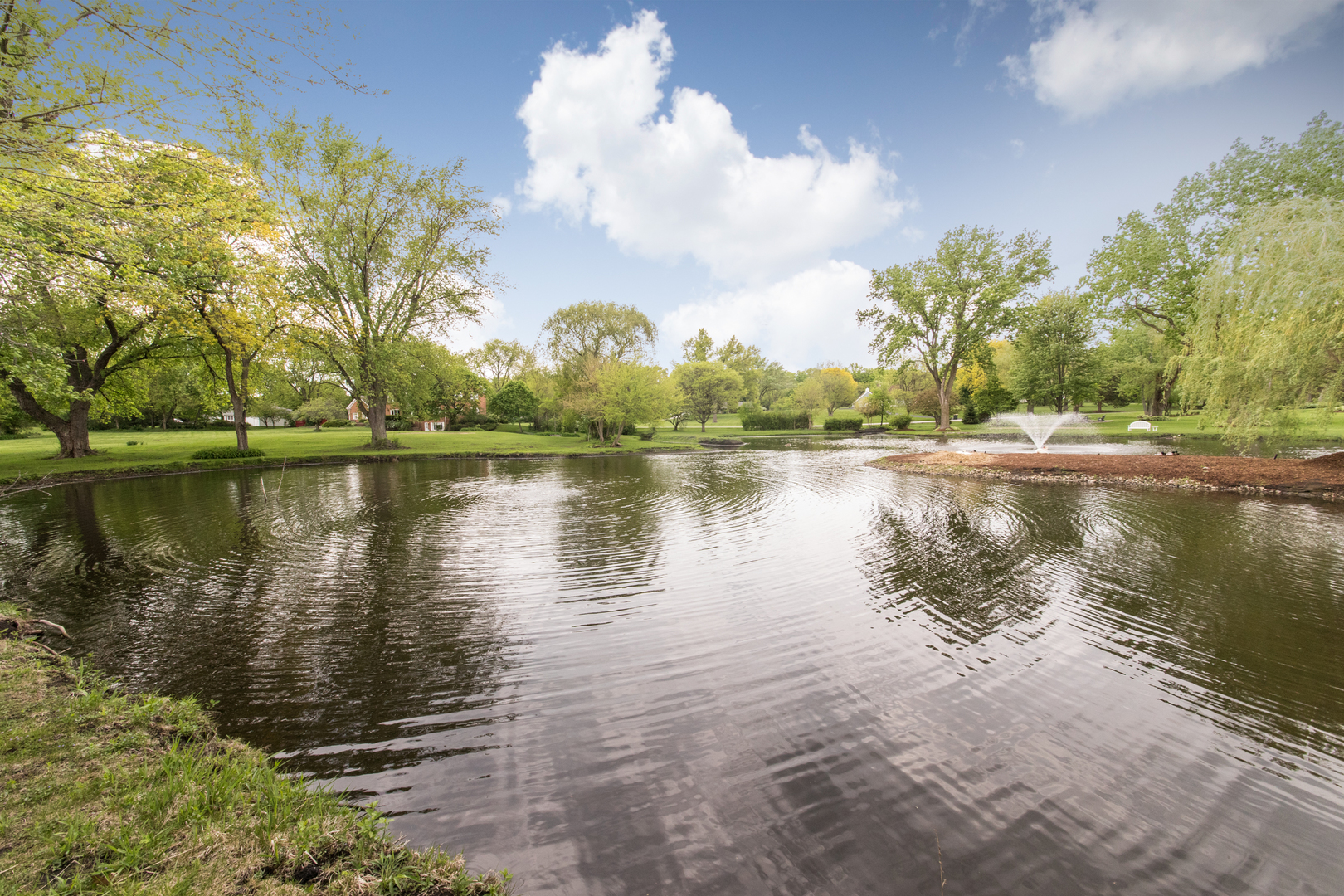 1701 Banbury Road Inverness, IL 60067 - Photo 6 of 33 a lake view with mountain