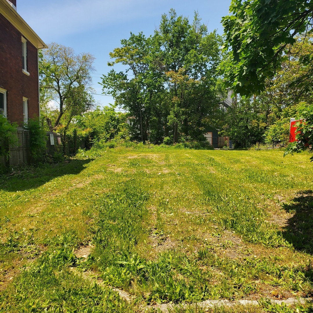 a view of a yard with a house