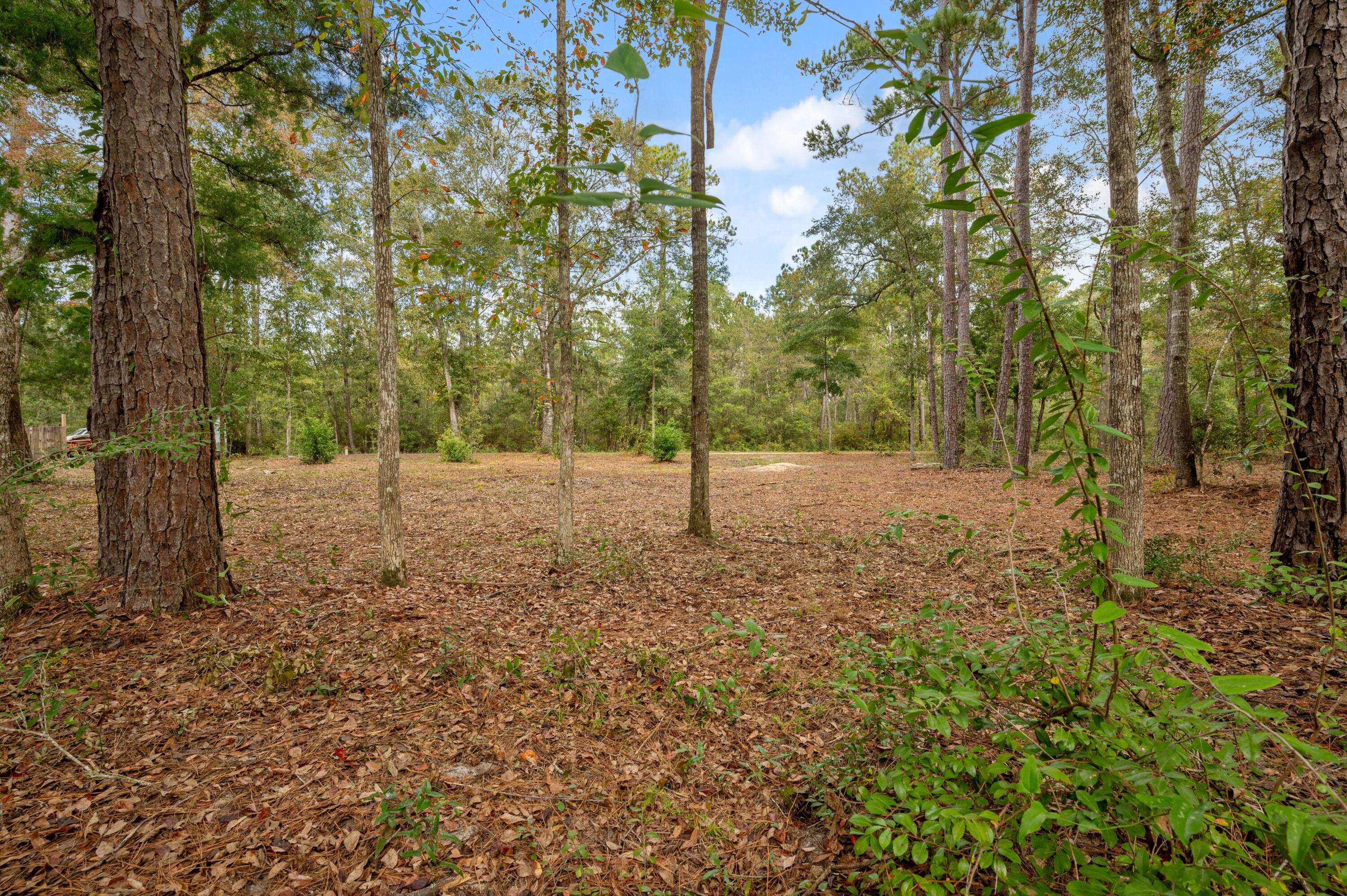 Tbd-5 Wilson Way Freeport, FL 32439 - Photo 11 of 15 lot 5