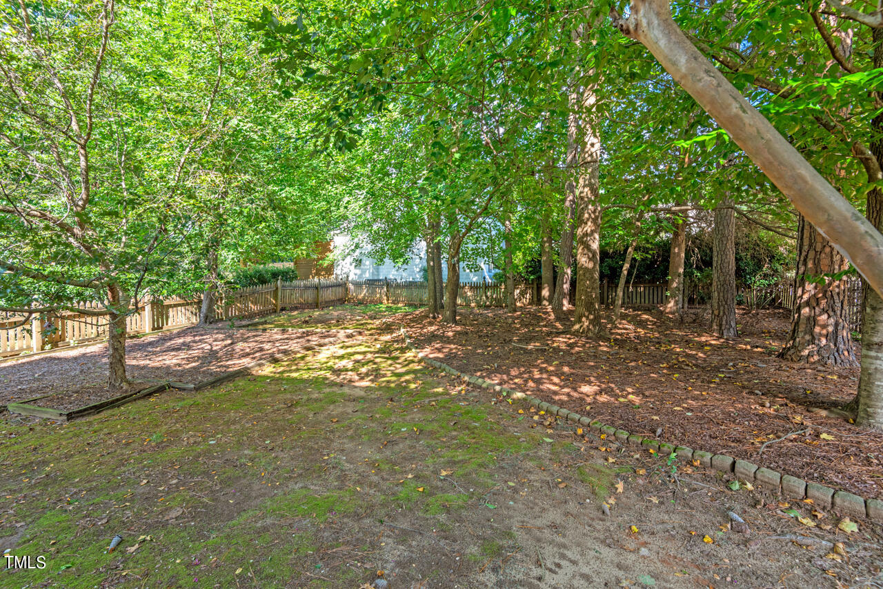 7930 Pine Timber Drive Raleigh, NC 27613 - Photo 49 of 57 a view of a tree in the middle of a yard